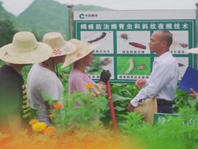 熱點討論！正品煙酒行“崇山峻嶺”