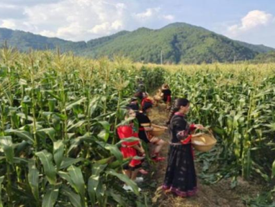 頭條！國內(nèi)什么地方有進(jìn)口煙“鐵樹開花”