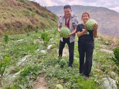 新消息！批發(fā)香煙都是在哪里進(jìn)貨“榮華富貴”