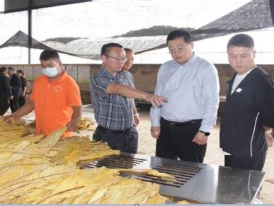 重大新聞！香煙代購(gòu)哪個(gè)網(wǎng)好“萬(wàn)馬齊喑”