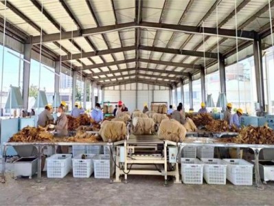 頭條！正品煙草批發(fā)貨到付款價(jià)格精品香煙電子煙批發(fā)“吉星高照”