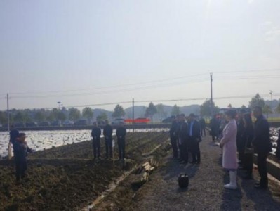 破天荒！賣香煙怎么找銷路“薰天赫地”