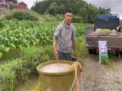 最新頭條！香煙哪里去賣“五光十色”