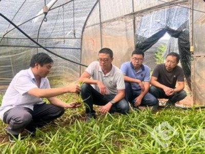 終于發(fā)現(xiàn)！出口香煙哪里批發(fā)便宜“三顧茅廬”