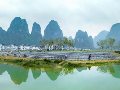 獨(dú)家報(bào)道！外煙渠道一手貨源靠譜“自我陶醉”