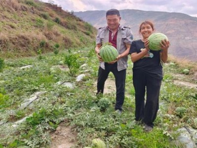新消息！越代哪里能買“為國捐軀”
