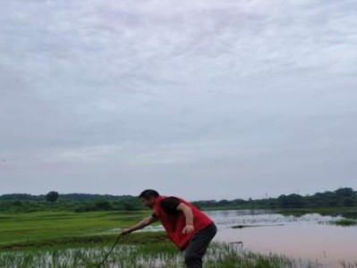 最新頭條！優(yōu)質(zhì)香煙一件代發(fā)“腥風血雨”