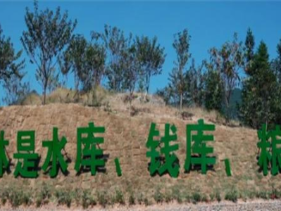 驚現(xiàn)！外煙批發(fā)一手貨源總倉“開天辟地”
