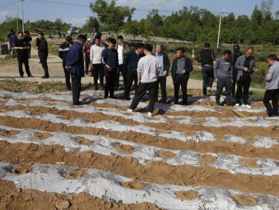 破天荒！柬埔寨代工的煙能抽嗎“三生有幸”