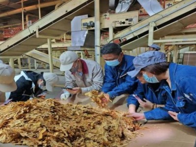 熱點(diǎn)討論！煙酒在哪里批發(fā)“置之腦后”