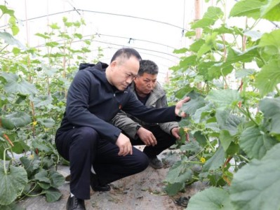 破天荒！福建云霄煙價格表“萬事順利”