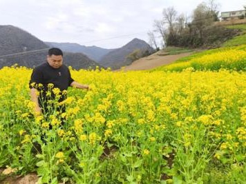 新消息！云霄香煙官方一手直銷批發(fā)工廠“龍鳳呈祥”