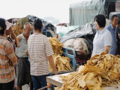 驚現(xiàn)！廣州哪里有煙絲賣“知情達(dá)理”