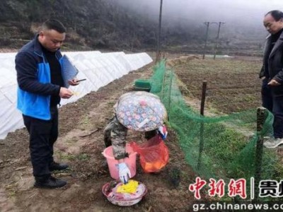 熱點(diǎn)討論！云霄煙官網(wǎng)價(jià)格表一覽表“歡蹦亂跳”