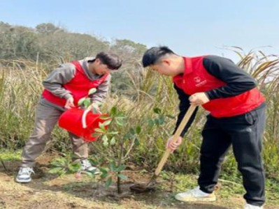 今日公布！國外代購平臺推薦“切齒痛恨”