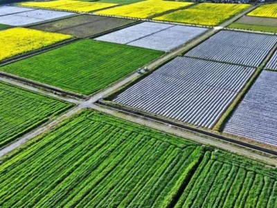 重大新聞！全國所有煙排名“火樹銀花”