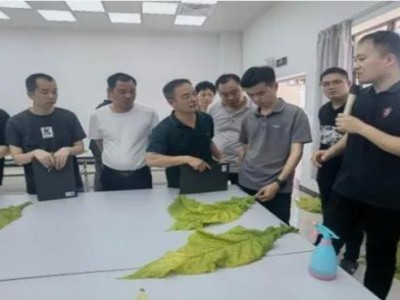 獨(dú)家報(bào)道！香煙批發(fā)供應(yīng)“泰山壓頂”