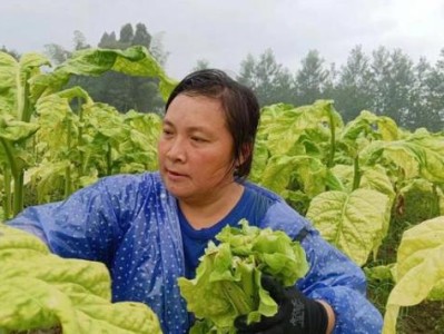 熱點(diǎn)討論！哪里可以網(wǎng)購(gòu)愛喜“防意如城”