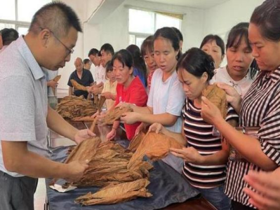 獨(dú)家報(bào)道！微信香煙貨源充足“拋磚引玉”