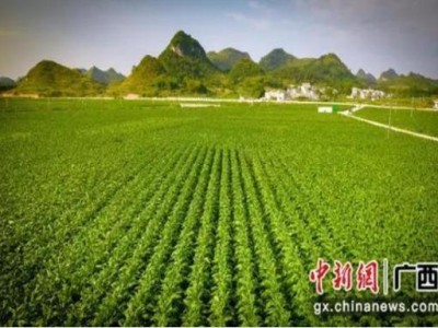 最新頭條！最全貨源平臺“金玉滿堂”