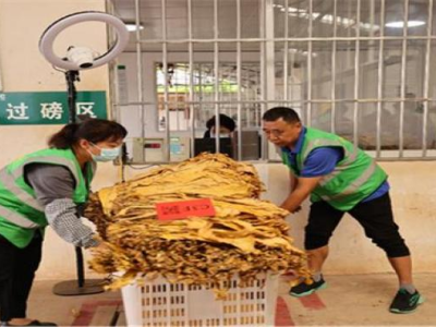 最新頭條！十元以下的煙哪里買“不毛之地”